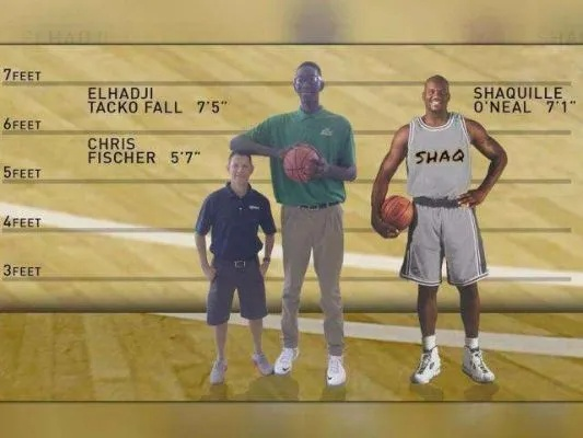 160在NBA:那些年,我们追过的传奇身高 160在NBA:那些年,我们追过的传奇身高