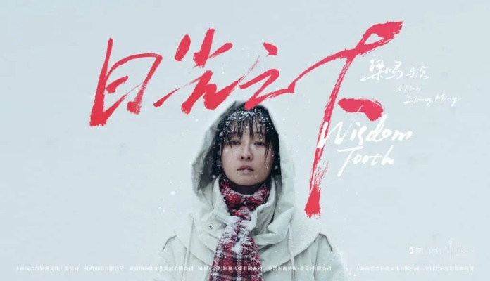 电影日光之下百度长尾关键词有哪些 电影日光之下百度长尾关键词有哪些