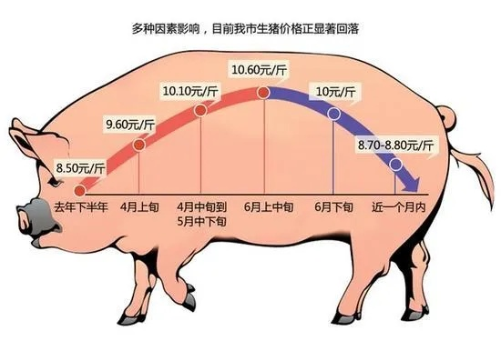 【武汉今日生猪价格】2025年6月3日武汉生猪价格是多少 【武汉今日生猪价格】2025年6月3日武汉生猪价格是多少