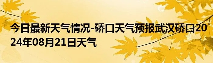 【武汉今日气温】2025年7月24日武汉气温是多少 【武汉今日气温】2025年7月24日武汉气温是多少