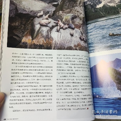 《环球画报》带你探索世界:用镜头和文字感受地球的每一处精彩 《环球画报》带你探索世界:用镜头和文字感受地球的每一处精彩