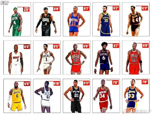 183 NBA球员背后的故事:身高不是限制,梦想才是关键 183 NBA球员背后的故事:身高不是限制,梦想才是关键