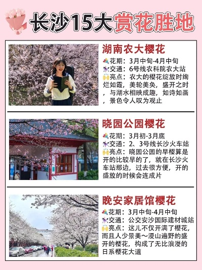 长沙晚上看樱花最佳地点? 长沙晚上看樱花最佳地点?