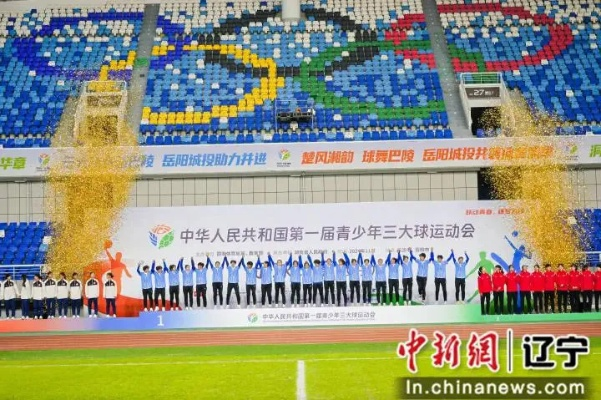 辽宁全运会官网:体育盛事的全方位指南与精彩回顾 辽宁全运会官网:体育盛事的全方位指南与精彩回顾