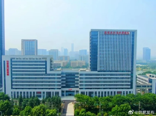 合肥市高新医院在哪个区 合肥市高新医院在哪个区
