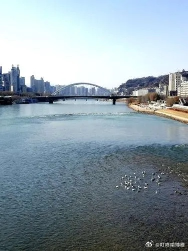 黛溪岛兰州的相关长尾关键词有哪些 黛溪岛兰州的相关长尾关键词有哪些