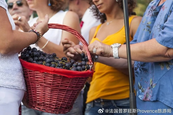 美酒节掉落:一场欢乐与丰收的庆典 美酒节掉落:一场欢乐与丰收的庆典