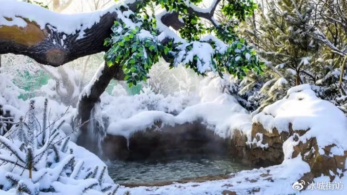 雪缘园:冰雪奇缘中的诗意栖居 雪缘园:冰雪奇缘中的诗意栖居