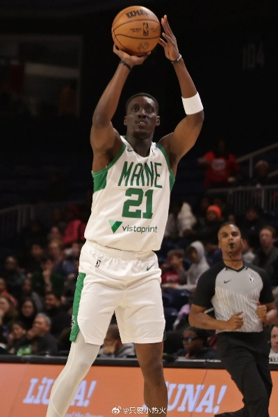 NBA球员托尼·斯内尔:从球场到人生的励志故事 NBA球员托尼·斯内尔:从球场到人生的励志故事