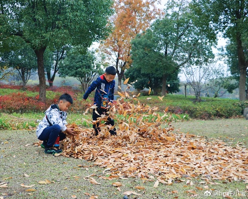 杭州少儿公园今年不扫落叶,让孩子感知秋叶之美, 你怎么看? 杭州少儿公园今年不扫落叶,让孩子感知秋叶之美, 你怎么看?