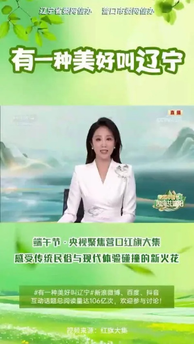 辽宁都市频道直播:探索本土文化与现代传媒的完美结合 辽宁都市频道直播:探索本土文化与现代传媒的完美结合