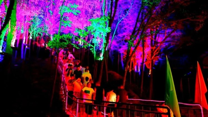 我在顶尖博彩的奇幻之旅:从新手到高手的真实心路历程 我在顶尖博彩的奇幻之旅:从新手到高手的真实心路历程