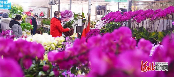 阿花保定市的长尾关键词有哪些 阿花保定市的长尾关键词有哪些