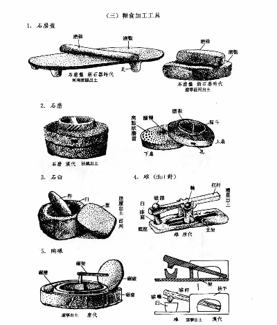 水稻加工工具的变迁史全部长尾关键词 水稻加工工具的变迁史全部长尾关键词