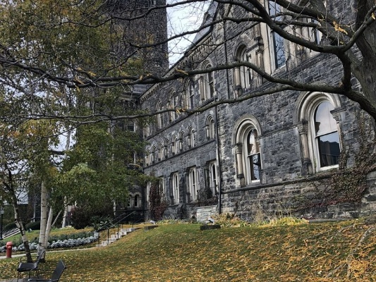 女王公园 vs 马瑟韦尔:伦敦最具魅力的公园 女王公园 vs 马瑟韦尔:伦敦最具魅力的公园