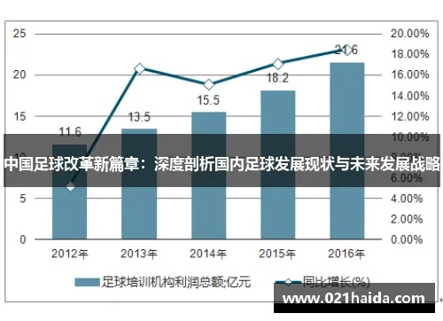 中国足协的发展历程与未来展望 中国足协的发展历程与未来展望