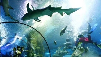 南通市海洋公园在哪里 南通市海洋公园在哪里