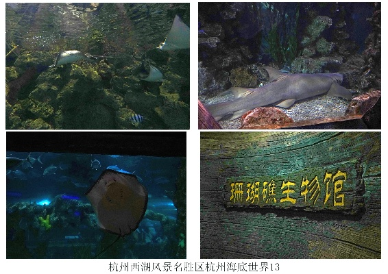 杭州哪个海底世界性价比高? 杭州哪个海底世界性价比高?