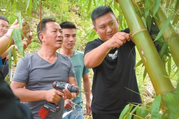 郑才木:一位普通农民的非凡人生,他用双手谱写乡村振兴的动人篇章 郑才木:一位普通农民的非凡人生,他用双手谱写乡村振兴的动人篇章