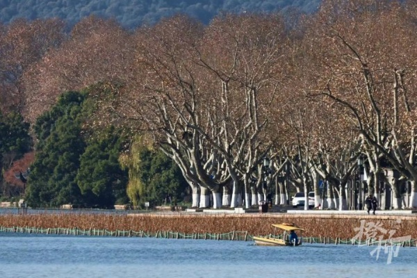 杭州市什么冷 杭州市什么冷