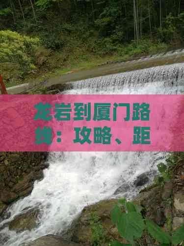 龙岩离厦门市多少公里路 龙岩离厦门市多少公里路
