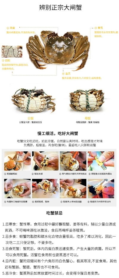 处理大闸蟹的工具有哪些长尾关键词集合 处理大闸蟹的工具有哪些长尾关键词集合