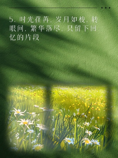 昨日再现:唤醒记忆中的美好,让时光不再匆匆流逝 昨日再现:唤醒记忆中的美好,让时光不再匆匆流逝