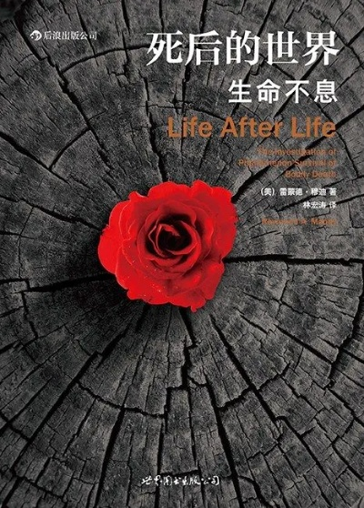 天才陨落:魏东之死背后的无尽遗憾与思考 天才陨落:魏东之死背后的无尽遗憾与思考