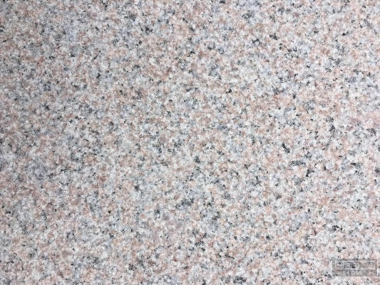 桂林红荔枝面相关长尾关键词有哪些 桂林红荔枝面相关长尾关键词有哪些