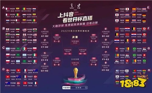 抖音世界杯解说预测比分:专业分析与趣味解读 抖音世界杯解说预测比分:专业分析与趣味解读