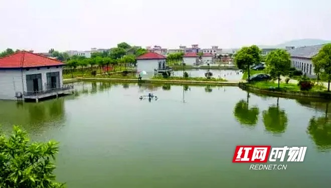 长沙市大托铺属哪个镇 长沙市大托铺属哪个镇