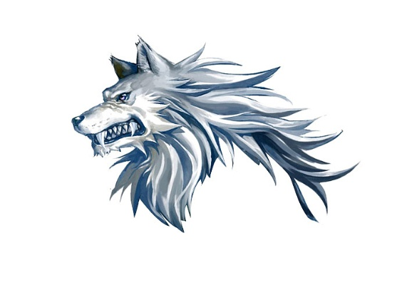 合肥狼头相关长尾关键词有哪些 合肥狼头相关长尾关键词有哪些