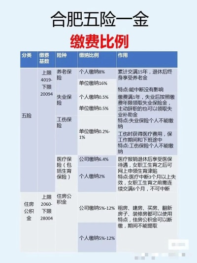 合肥市有什么社保补贴 合肥市有什么社保补贴