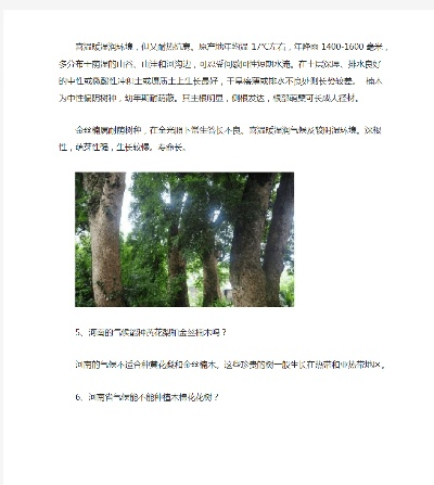 河南哪个树种生长最快 河南哪个树种生长最快