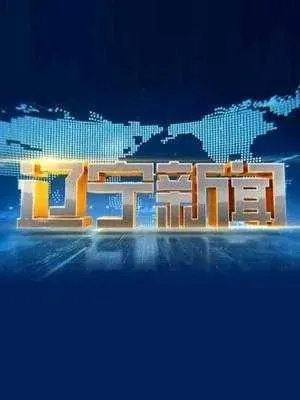 辽宁卫视网络直播:探索新时代媒体融合的创新之路 辽宁卫视网络直播:探索新时代媒体融合的创新之路