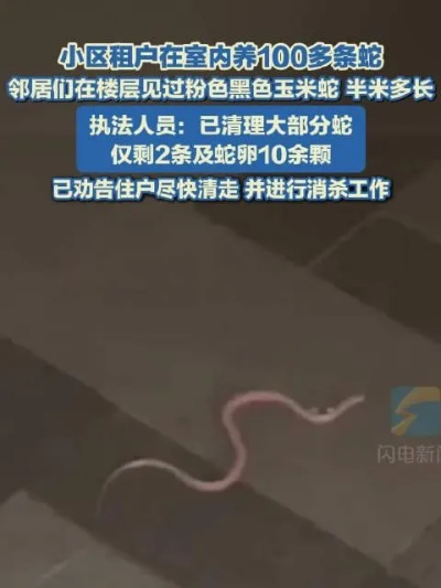 合肥市哪里能买的蛇 合肥市哪里能买的蛇