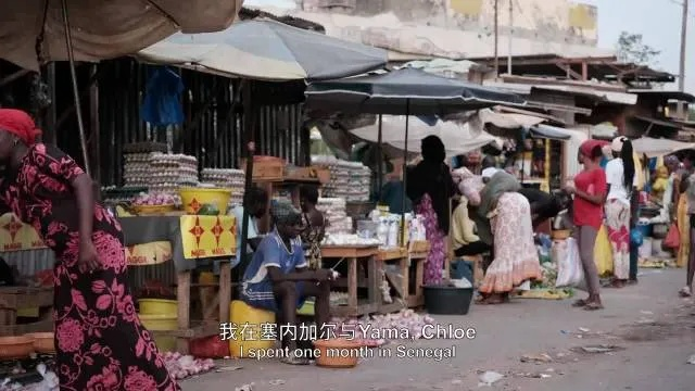 我在迪亚拉的日与夜:一个普通人的真实生活与情感挣扎 我在迪亚拉的日与夜:一个普通人的真实生活与情感挣扎