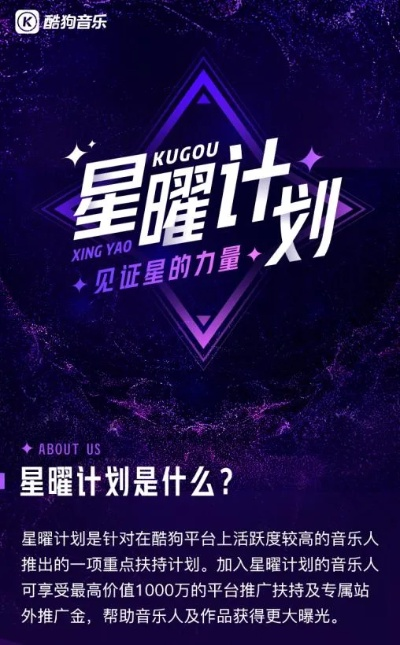 闪亮亮之星:揭秘当代年轻人如何努力成为行业新星 闪亮亮之星:揭秘当代年轻人如何努力成为行业新星
