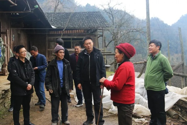 鹤峰郑桂林相关长尾关键词有哪些 鹤峰郑桂林相关长尾关键词有哪些