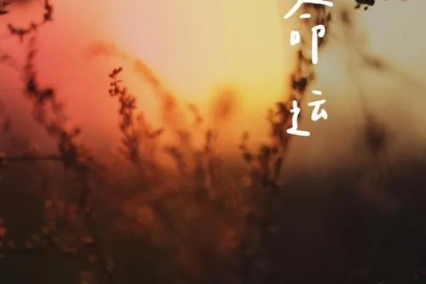 福图纳:解锁你的幸运密码,开启人生新篇章 福图纳:解锁你的幸运密码,开启人生新篇章