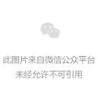 世界杯KOC:赛场背后的故事 世界杯KOC:赛场背后的故事
