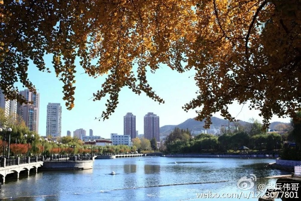 大连市公园发生什么事了 大连市公园发生什么事了