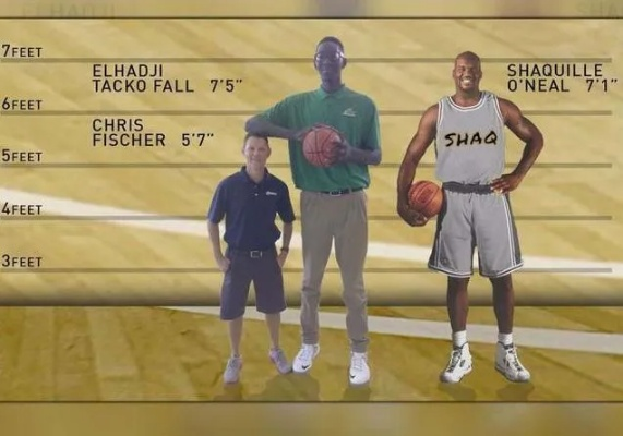 NBA最高人:篮球之巅的身高传奇 NBA最高人:篮球之巅的身高传奇