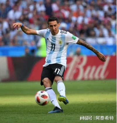 足球盛宴,即将到来——迪马利亚2026世界杯展望 足球盛宴,即将到来——迪马利亚2026世界杯展望