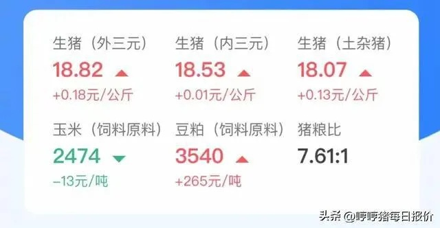 【深圳今日生猪价格】2025年5月2日深圳生猪价格是多少 【深圳今日生猪价格】2025年5月2日深圳生猪价格是多少