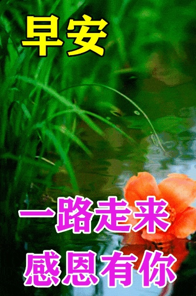 外国男女动态图片大全的长尾关键词有哪些 外国男女动态图片大全的长尾关键词有哪些