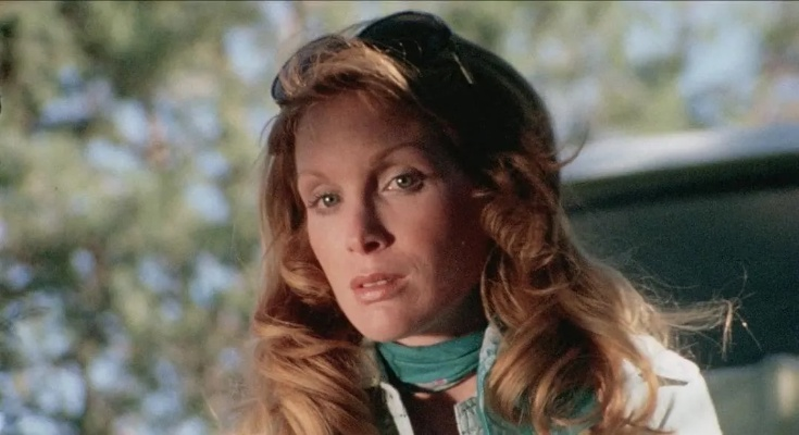 香农特威德电影相关长尾关键词有哪些 香农特威德电影相关长尾关键词有哪些