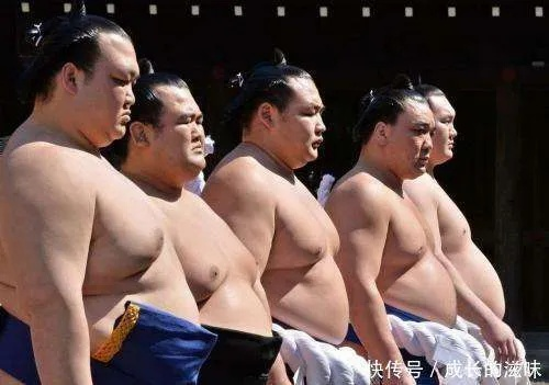 相扑级别:揭秘这项古老运动的独特魅力与竞技精神 相扑级别:揭秘这项古老运动的独特魅力与竞技精神