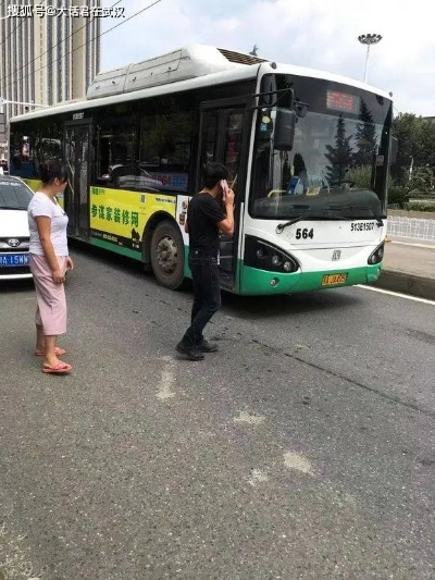 武汉盘龙城公交几号恢复正常? 武汉盘龙城公交几号恢复正常?