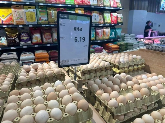 【桂林今日鸡蛋价格】2025年5月27日桂林鸡蛋价格是多少 【桂林今日鸡蛋价格】2025年5月27日桂林鸡蛋价格是多少